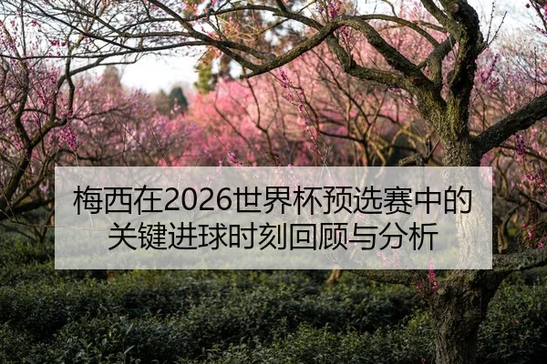 梅西在2026世界杯预选赛中的关键进球时刻回顾与分析