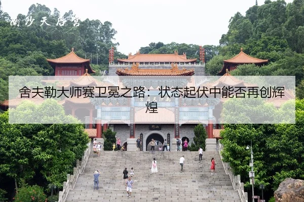 she-fu-lei-da-shi-sai-wei-mian-zhi-lu-zhuang-tai-qi-fu-zhong-neng-fou-zai-chuang-hui-huang-2-202.jpg